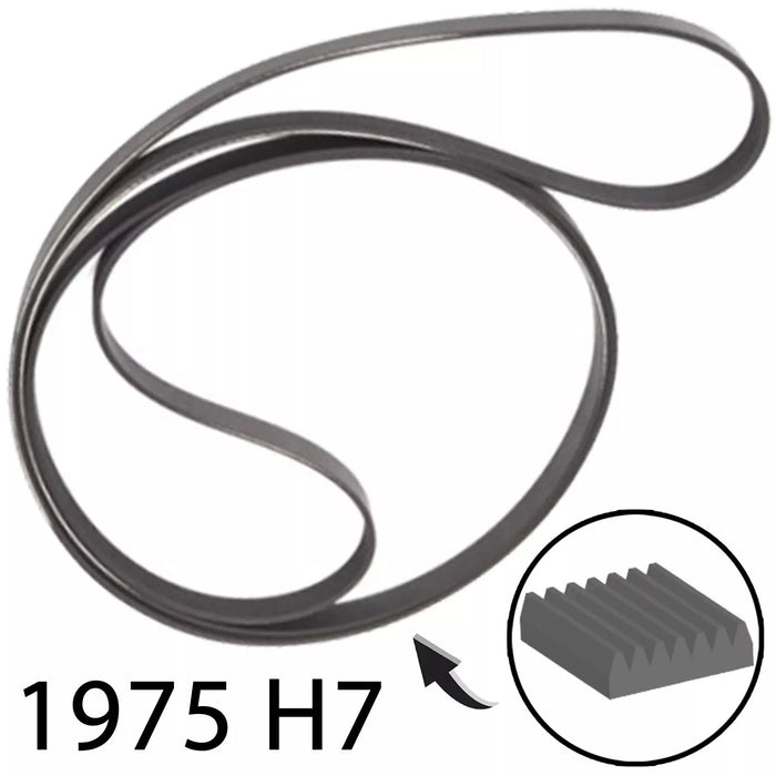 Poly-V Drive Belt for Electrolux Tumble Dryer 1975 H7 1975mm 7 Rib 1975H6