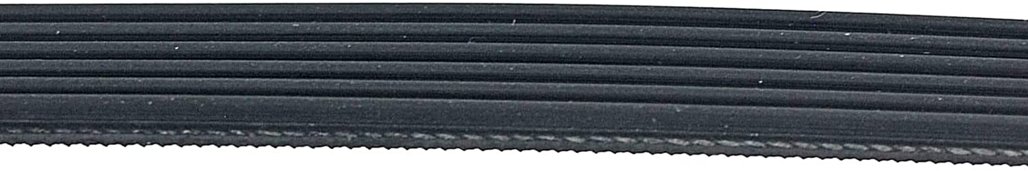 Close detailed shot of the Drive Belt for Contitech Multi V Tumble Dryer 144002145 6PHE 1991