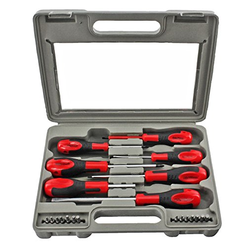 21 Piece Large & Small Magnetic Tip Screwdriver and Bit Set