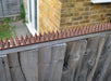 Garden Fence Wall Anti-Climb Security Spikes (10 Pcs, 5m)